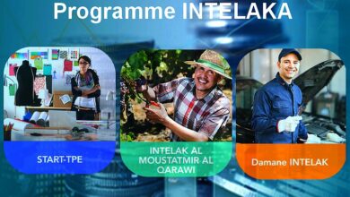 Programme Intelaka: 15.085 crédits garantis en 2020