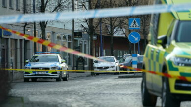 Deux femmes tuées à l'arme blanche en Suède, un étudiant arrêté