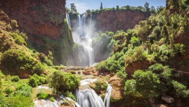 Les cascades dOuzoud une contree paradisiaque au milieu dune flore luxuriante