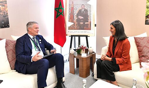 Assemblées annuelles FMI/BM : Mme Fettah s’entretient avec le SG de l’OCDE 1 nadia fettah Mathias Cormann