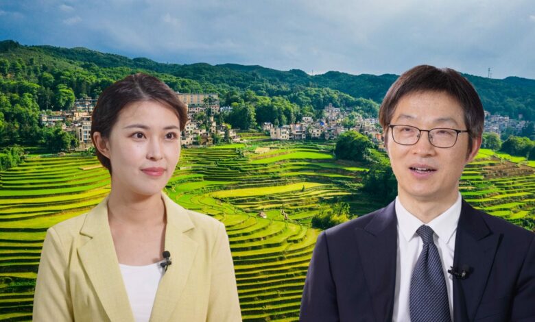 Vers une nouvelle civilisation écologique : la vision chinoise face aux défis climatiques 1 WhatsApp Image 2025 05 21 at 19.14.55