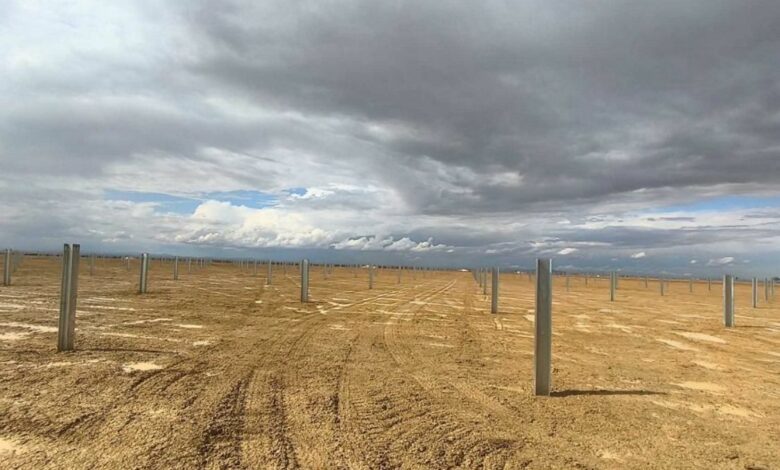 Une centrale solaire au cœur de Kairouan : un partenariat sino-tunisien ouvre de nouveaux horizons pour l’énergie propre 1 b7f9a655 3380 4b26 861c 839831a9b53d