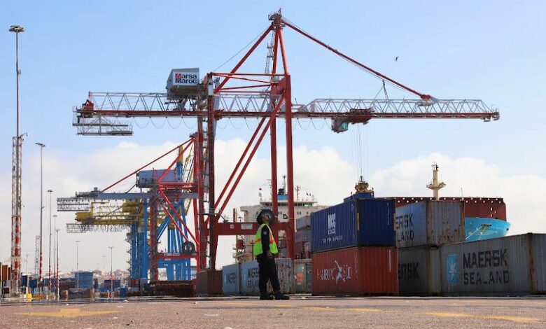 Les exportations marocaines vers la Chine enregistrent une croissance remarquable… des perspectives prometteuses grâce à l’exonération douanière totale 1 29736c77 e047 472a ade4 b2e8cd0e2040