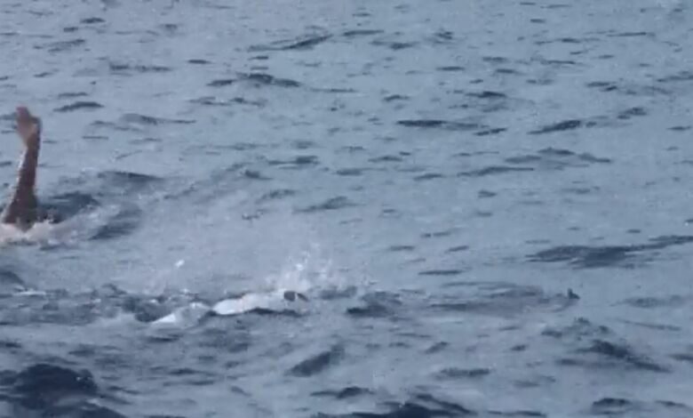 Le nageur chinois Chen Souwi traverse le détroit de Gibraltar entre Tarifa et Tanger, un exploit remarquable à 57 ans 1 Capture decran 2025 06 04 a 01.46.25 780x470 1
