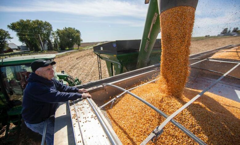 Diplomatie d’humain à humain : des agriculteurs de l’Iowa voient dans les relations directes un pont pour relancer le commerce entre la Chine et les États-Unis 1 c2fd3de4 48f2 4b0e a280 f25f29dc32ef