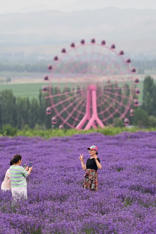 d280bd13 6138 473b a753 097643031249