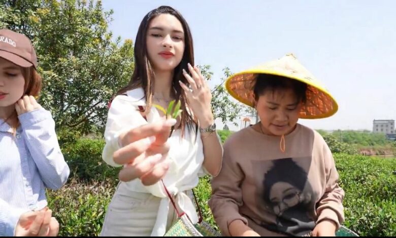 Voyage du thé avec trois Marocaines en Chine : à la recherche d’une saveur enracinée entre deux cultures 1 fb6b7fcb 2a35 44e8 a4ec 3cbcae466692 1