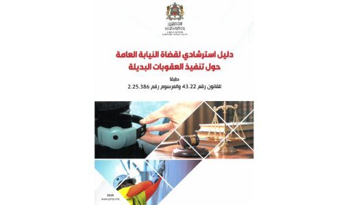 Peines alternatives : Le Ministère public publie un guide de référence destiné aux magistrats du parquet 1 Gy iNmGWUAEauaW