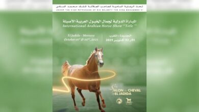 Salon du cheval El Jadida Title Show 508x300 1