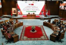 WhatsApp Image 2025 10 29 at 15.08.17