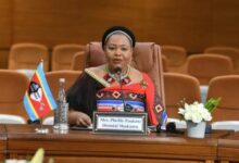 WhatsApp Image 2025 10 29 at 15.09.01 2