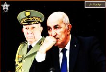 WhatsApp Image 2025 10 29 at 18.53.31