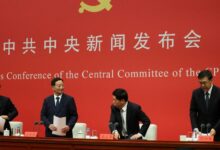 WhatsApp Image 2025 10 31 at 12.19.13