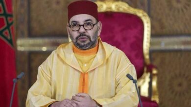 0ed1f73e 5e95 4ed6 b9a0 7592321873fb