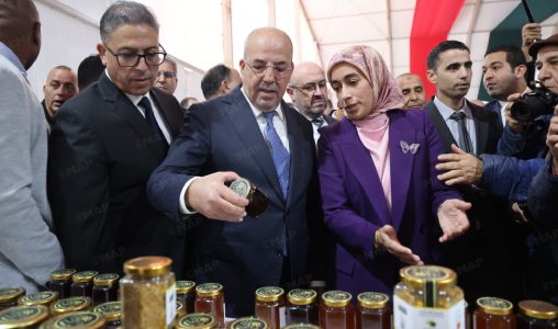 Aknoul : Coup d’envoi de la 9è édition du Festival de l’Amandier 1 G50k1ivXQAAFQaA