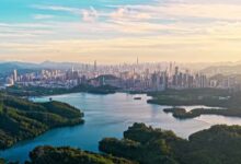 WhatsApp Image 2025 11 01 at 13.18.27