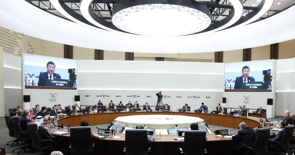 WhatsApp Image 2025 11 01 at 20.21.27 1