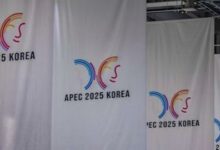 WhatsApp Image 2025 11 02 at 15.54.50