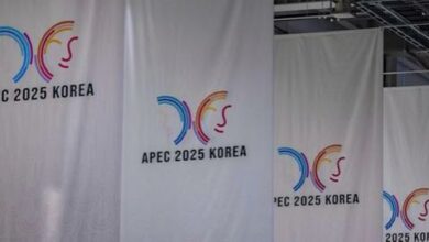 WhatsApp Image 2025 11 02 at 15.54.50