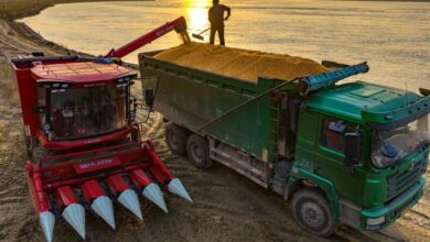 WhatsApp Image 2025 11 04 at 12.26.55