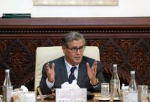 WhatsApp Image 2025 11 04 at 16.02.58 1