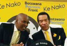 WhatsApp Image 2025 11 07 at 09.25.55