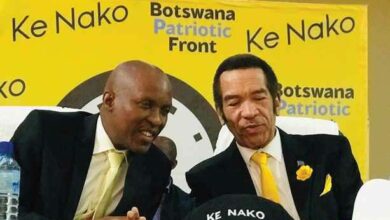 WhatsApp Image 2025 11 07 at 09.25.55