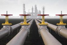 WhatsApp Image 2025 11 07 at 20.51.19