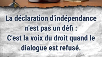 WhatsApp Image 2025 11 07 at 22.32.55