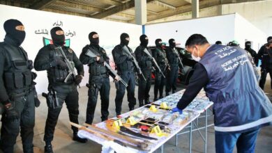 WhatsApp Image 2025 11 12 at 09.45.03