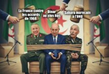 WhatsApp Image 2025 11 12 at 23.35.32