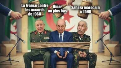 WhatsApp Image 2025 11 12 at 23.35.32