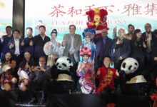 WhatsApp Image 2025 11 16 at 16.19.11