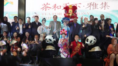 WhatsApp Image 2025 11 16 at 16.19.11