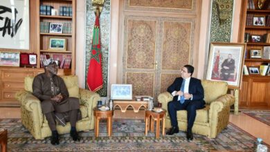 WhatsApp Image 2025 11 20 at 20.29.27