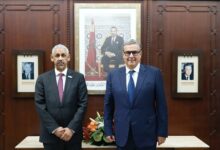 WhatsApp Image 2025 11 26 at 15.15.26 1