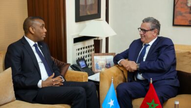 WhatsApp Image 2025 11 27 at 16.19.55