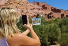 77a3178c 0f71 432f a589 d6a2294a3f31