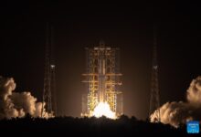 WhatsApp Image 2025 12 01 at 11.45.54