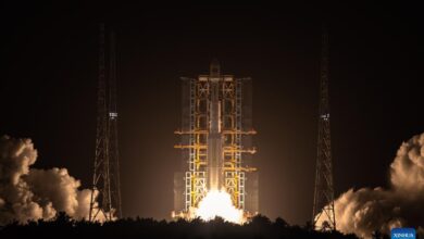 WhatsApp Image 2025 12 01 at 11.45.54