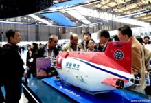 WhatsApp Image 2025 12 03 at 11.31.27