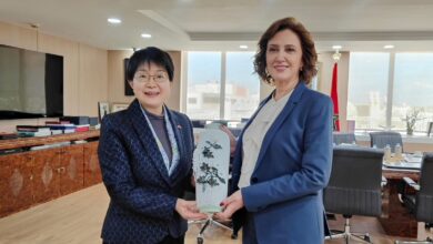 WhatsApp Image 2025 12 03 at 17.55.00