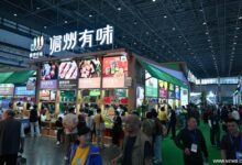 WhatsApp Image 2025 12 06 at 12.20.08