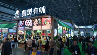 WhatsApp Image 2025 12 06 at 12.20.08