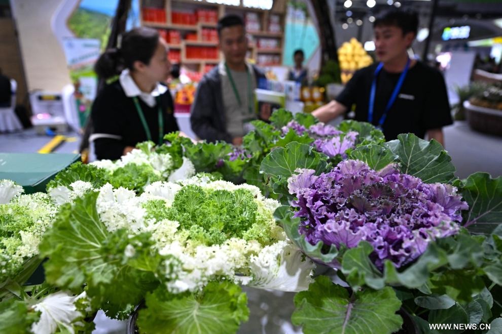 Ouverture de la 28ᵉ édition du Salon international d’hiver des produits agricoles tropicaux de Chine à Hainan 3 WhatsApp Image 2025 12 06 at 12.20.25