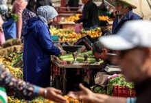 WhatsApp Image 2025 12 08 at 14.43.01