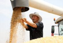 WhatsApp Image 2025 12 12 at 10.58.49