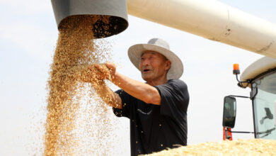 WhatsApp Image 2025 12 12 at 10.58.49