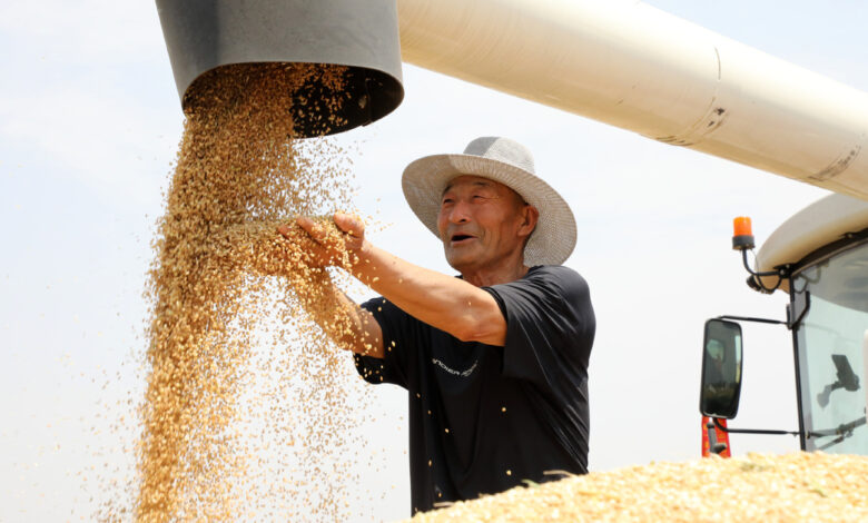 WhatsApp Image 2025 12 12 at 10.58.49