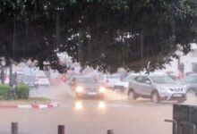 WhatsApp Image 2025 12 14 at 21.47.09